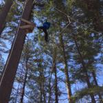 high-ropes2